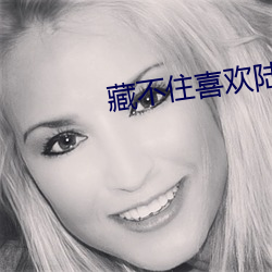 藏不住喜欢陆怀轻