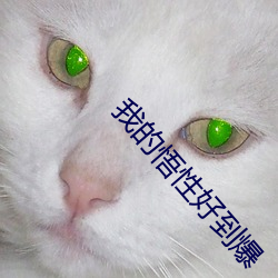 我的悟性好到爆