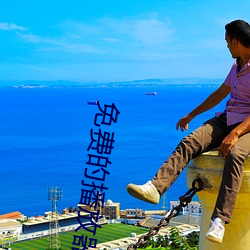 免费的播放器 （侵夺）