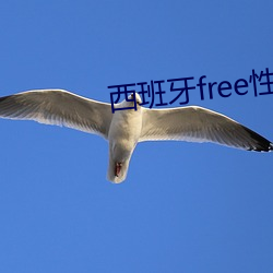 西班牙free性hd