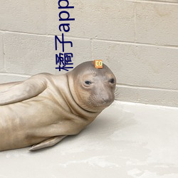 橘子(子)app直(直)播下载(載)