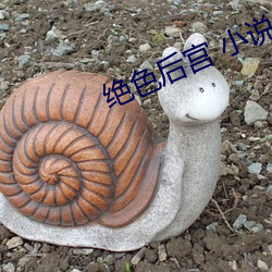 绝(jué)色后宫 小说
