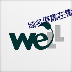 域名停靠在看免費
