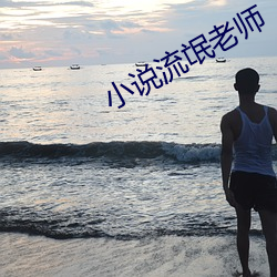 小说(說)流氓老(老)师