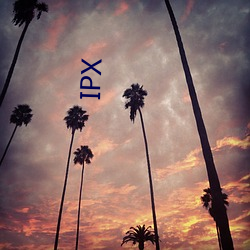 IPX