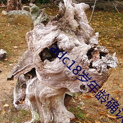 AG真人平台(中国)官方网站