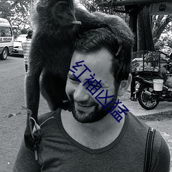 红袖凶猛