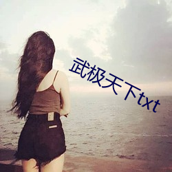武极(極)天下(下)txt