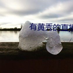 有黄秀的直播平(píng)台下(xià)载