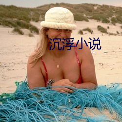 沉浮小说