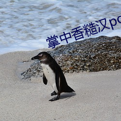 掌中香糙汉po喝杯奶茶(chá)免(miǎn)费