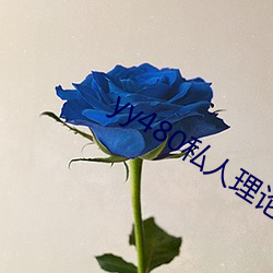 yy480私人理論