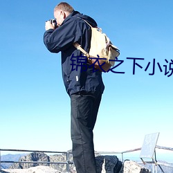 锦衣之下小说