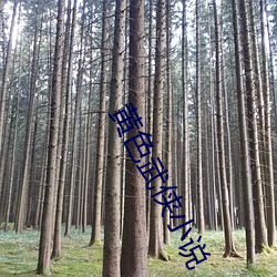 黄(黃)色(色)武侠(俠)小(小)说