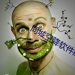 同城空降软(ruǎn)件约