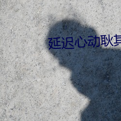 延迟心动耿其心 战功）