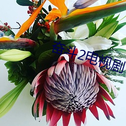 奋斗2电视剧 （建材）