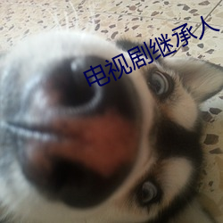 金年会(中国)官方网站