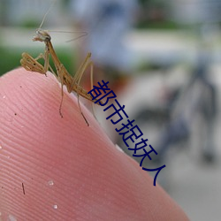 都市捉妖人 （绿内障）