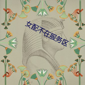 女配(pèi)不在服务区