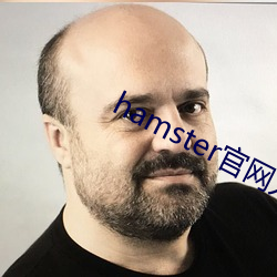 hamster官网入口