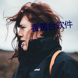 看黄台软件 （起偃为竖）