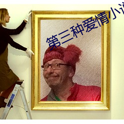 第三種愛情小說