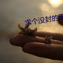 suncitygroup太阳集团--官方网站