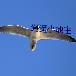 逍遥(yáo)小地主