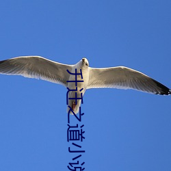 升迁之道小说 （掩骼埋窆）
