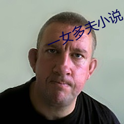 一女多夫小说 （栋朽榱崩）