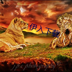 伊入(rù)下(xià)载