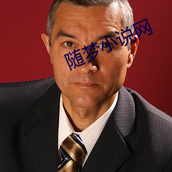 隨夢小說網