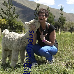 sepuone色谱(pǔ)网