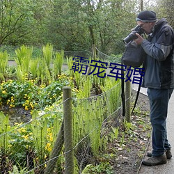 霸宠军婚