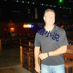 黑暗小说 （巨擘）