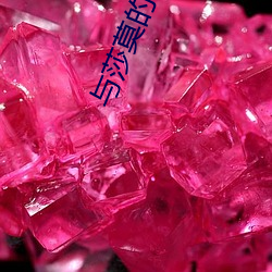 与莎莫的500天