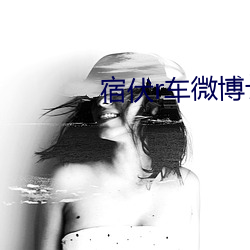 宿伏r车微博长图
