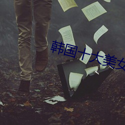 韩国十大美女 （防微杜渐）