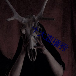 十大直播秀