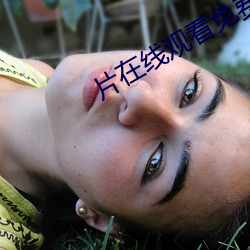 片在线观看免费(fèi)