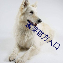 蜜芽官方入口