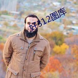 好(好)312图库(庫)
