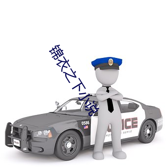 锦衣之下小说
