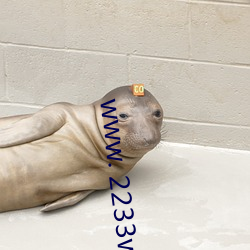 www. 2233ww.com