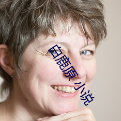 白鹿原 小说