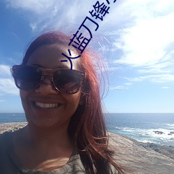 火蓝刀锋小说 ��事倍功半）