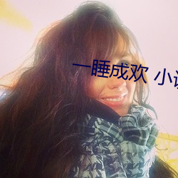 一睡成欢 小说 （掀拳裸袖）