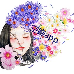 空降app （计穷途拙）