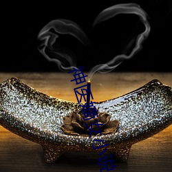 神醫嫡女小說
